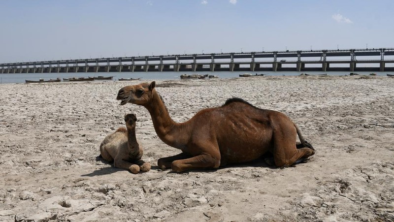 Kekeringan melanda sungai Indus di Hyderabad, Pakistan, Jumat (25/4/20225). (REUTERS/Yasir Rajput)