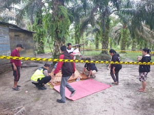 Kronologi Yunus Dibacok ODGJ hingga Tewas, Berawal Lerai Pelaku yang Ngamuk