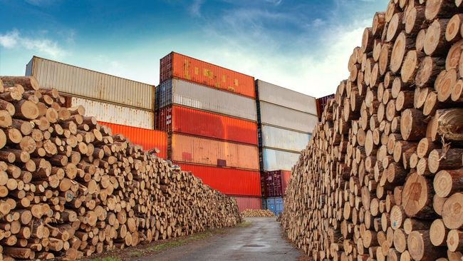 Impor Kayu Log-Peti Masuk Paket Deregulasi, Apa Alasan Pemerintah?