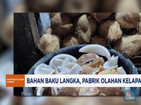 Video: Bahan Baku Langka, Pabrik Olahan Kelapa Tutup Massal