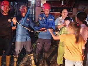 Damkar Parepare Evakuasi Ular Berbisa Black Boiga Masuk Rumah Warga