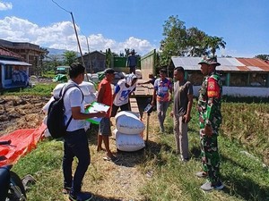 Serapan Gabah Bulog di Bima-Dompu Tembus 18 Ribu Ton