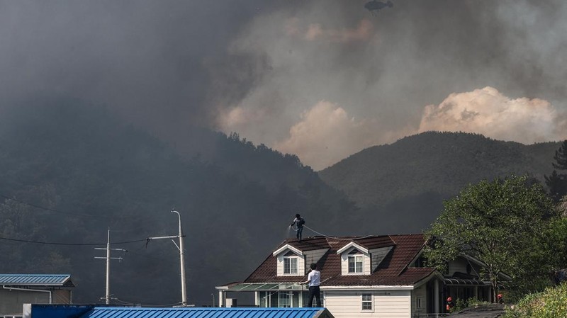 Petugas berjibaku memadamkan api yang mendekati bangunan perumahan di Daegu, Korea Selatan, 28 April 2025. (via REUTERS/YONHAP NEWS AGENCY)