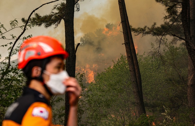 Petugas berjibaku memadamkan api yang mendekati bangunan perumahan di Daegu, Korea Selatan, 28 April 2025. (via REUTERS/YONHAP NEWS AGENCY) Petugas berjibaku memadamkan api yang mendekati bangunan perumahan di Daegu, Korea Selatan, 28 April 2025. (via REUTERS/YONHAP NEWS AGENCY)
