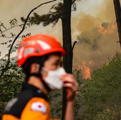 Kebakaran Hutan Korsel Berhasil Dikendalikan Setelah 23 Jam
