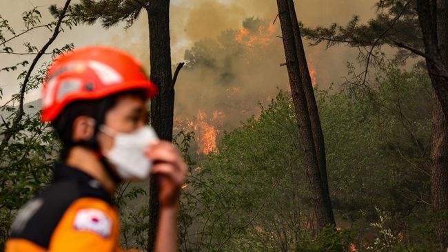 Kebakaran Hutan Korsel Berhasil Dikendalikan Setelah 23 Jam