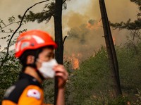 Kebakaran Hutan Korsel Berhasil Dikendalikan Setelah 23 Jam