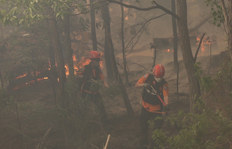 Petugas berjibaku memadamkan api yang mendekati bangunan perumahan di Daegu, Korea Selatan, 28 April 2025. (via REUTERS/YONHAP NEWS AGENCY) Petugas berjibaku memadamkan api yang mendekati bangunan perumahan di Daegu, Korea Selatan, 28 April 2025. (via REUTERS/YONHAP NEWS AGENCY)