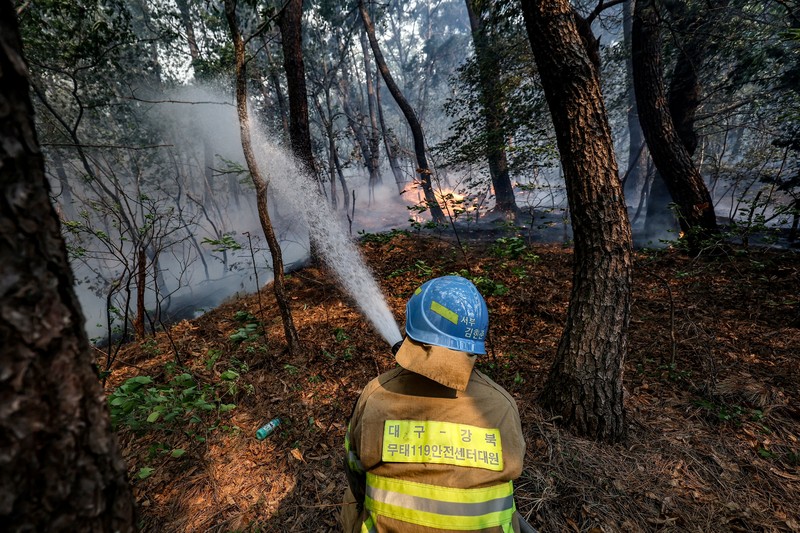 Petugas berjibaku memadamkan api yang mendekati bangunan perumahan di Daegu, Korea Selatan, 28 April 2025. (via REUTERS/YONHAP NEWS AGENCY) Petugas berjibaku memadamkan api yang mendekati bangunan perumahan di Daegu, Korea Selatan, 28 April 2025. (via REUTERS/YONHAP NEWS AGENCY)