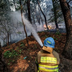 Kiamat Sudah Dekat, Tandanya Tampak Jelas Terlihat di Daun