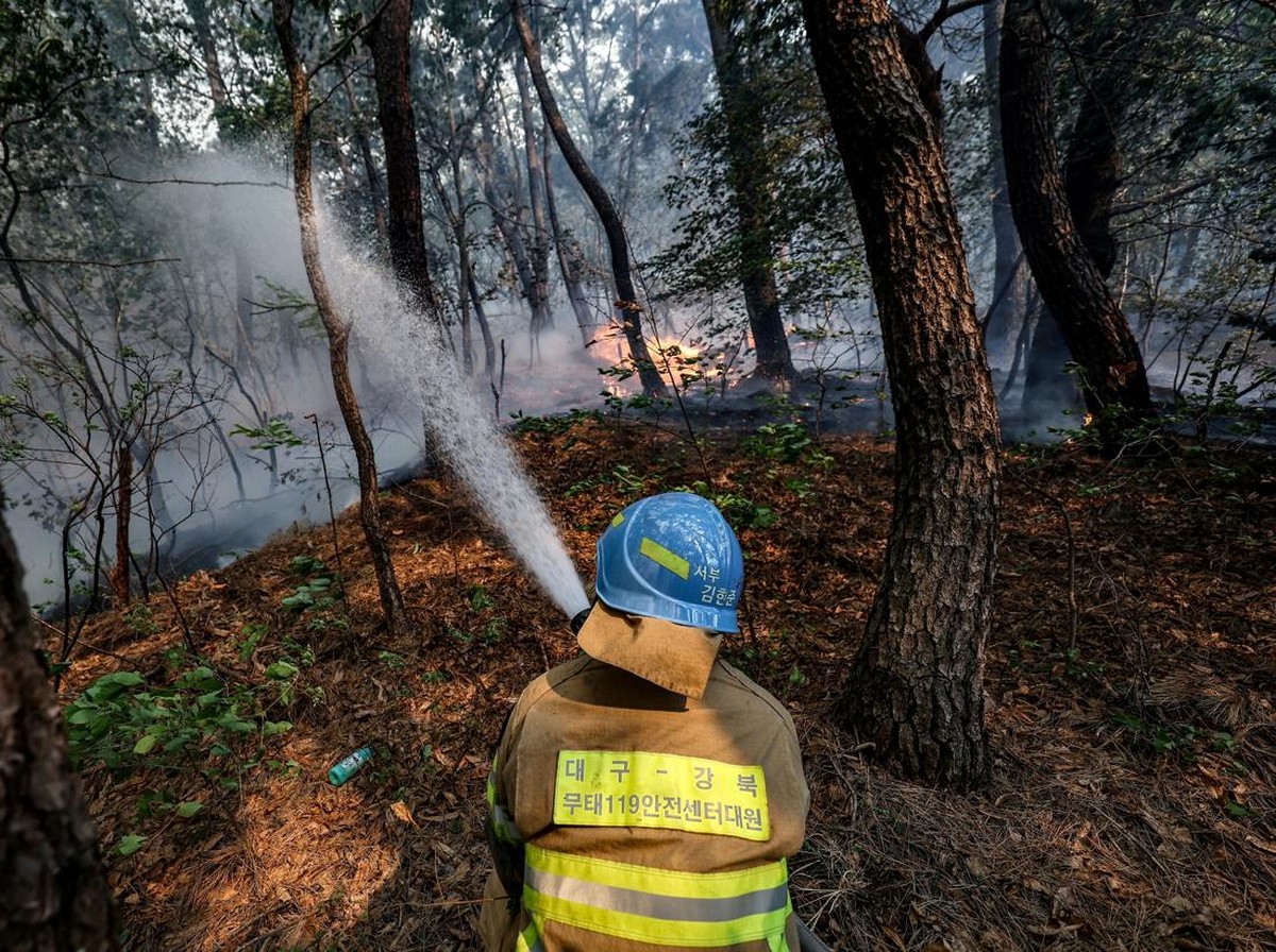 Pemanasan Global Membuat Hutan Tropis Kehilangan Kemampuan Fotosintesis