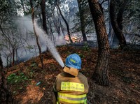 Potret Kebakaran Hutan Korsel, Situasi Darurat-Ribuan Orang Mengungsi