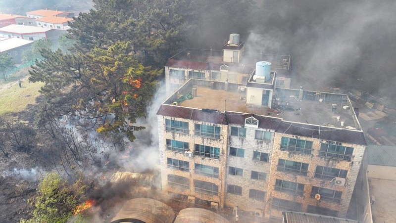 Petugas berjibaku memadamkan api yang mendekati bangunan perumahan di Daegu, Korea Selatan, 28 April 2025. (via REUTERS/YONHAP NEWS AGENCY)