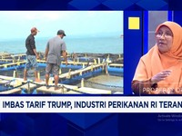 Video: PR Prabowo Bikin Udang RI Kuat Saingi India-Vietnam