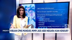 Video: Ribuan CPNS Mundur, Mimpi Jadi Abdi Negara Kian Kendur?