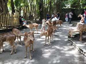 Aneka Manfaat Sistem Nontunai di Objek Wisata