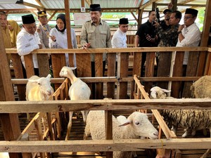 Bupati Mojokerto-Baznas Luncurkan Balai Ternak Berdayakan Mustahik