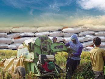 Ini Ramalan Lembaga AS Soal Produksi Beras ASEAN: Siapa Kalahkan RI?