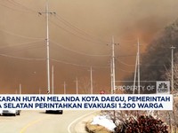 Video: Kebakaran Hutan Kota Daegu, 1.200 Warga Korsel Dievakuasi