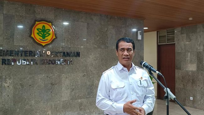 Mentan Amran Bangga Bukan Main, Serapan Beras Sebulan Capai Rekor