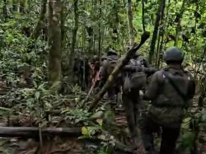 Tragedi Pencarian Iptu Tomi: Brimob Disengat Lebah-Ketua Komnas HAM Ditembak