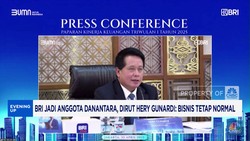 Video: BRI Jadi Anggota Danantara, Dirut Pastikan Bisnis Tetap Normal