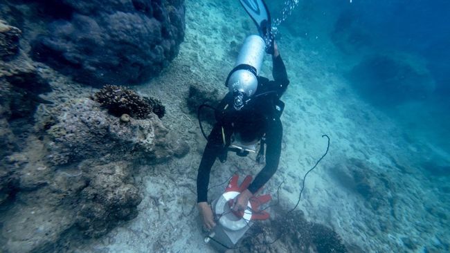 Peringati Hari Bumi, Telkom Konservasi Lingkungan di 4 Lokasi Ini