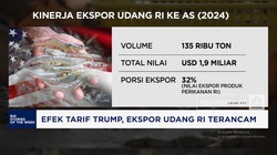 Video: Gara-gara Tarif Trump, Ekspor Udang RI Terancam