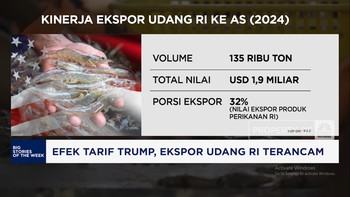 Video: Gara-gara Tarif Trump, Ekspor Udang RI Terancam