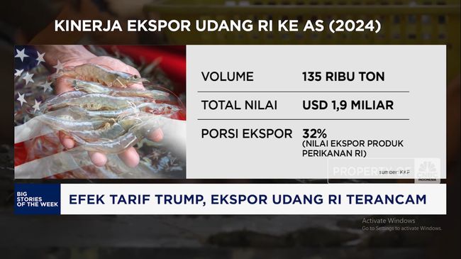 Video: Gara-gara Tarif Trump, Ekspor Udang RI Terancam