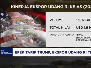 Video: Gara-gara Tarif Trump, Ekspor Udang RI Terancam