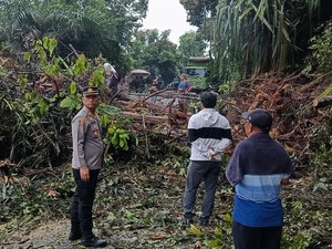 Jalan Lintas Nasional Pekanbaru-Kuansing Longsor, Akses Sempat Putus Total