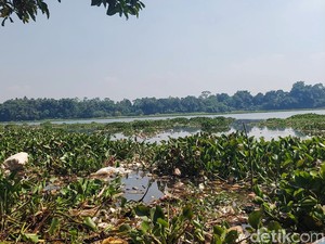 Ancaman Sampah-Sedimentasi Terhadap Umur Waduk Saguling
