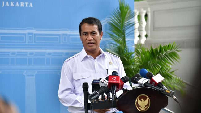 Dipanggil Prabowo ke Istana, Mentan Amran Lapor Data Baru Stok Beras