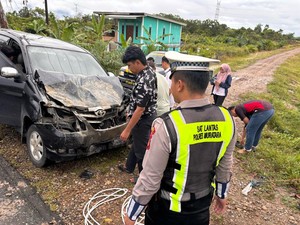 Mobil ASN Muratara Ringsek Usai Tabrak Kawanan Kerbau