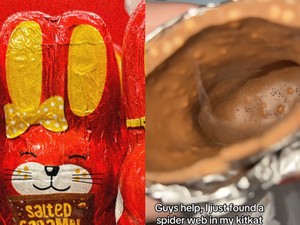 Ngeri! Wanita Ini Temukan Sarang Serangga di Dalam Cokelat
