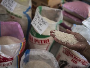 Satgas Pangan Usut Dugaan Manipulasi Data Beras, Pelaku Terancam Hukuman Ini