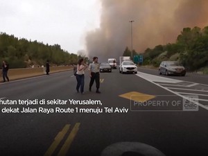Kebakaran Hebat Melanda Israel, Warga Dievakuasi