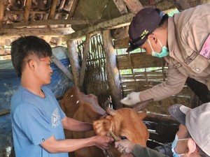 Diperta Kabupaten Probolinggo Gencar Cek Hewan Ternak Jelang Idul Adha