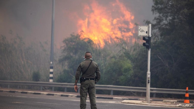Keadaan darurat nasional pasca kebakaran hutan hebat yang melanda dengan cepat di dekat kota Yerusalem. (REUTERS/Ronen Zvulun)