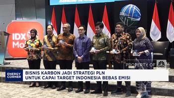 Bisnis Karbon Jadi Strategi PLN Capai Target Indonesia Bebas Emisi