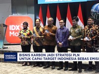 Bisnis Karbon Jadi Strategi PLN Capai Target Indonesia Bebas Emisi