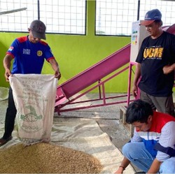 Program Desa Energi Berdikari Pertamina Dorong Produksi Pangan Desa