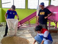 Program Desa Energi Berdikari Pertamina Dorong Produksi Pangan Desa