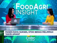 Video: Panen Raya Sukses & Stok Beras Melimpah, Petani Sejahtera?