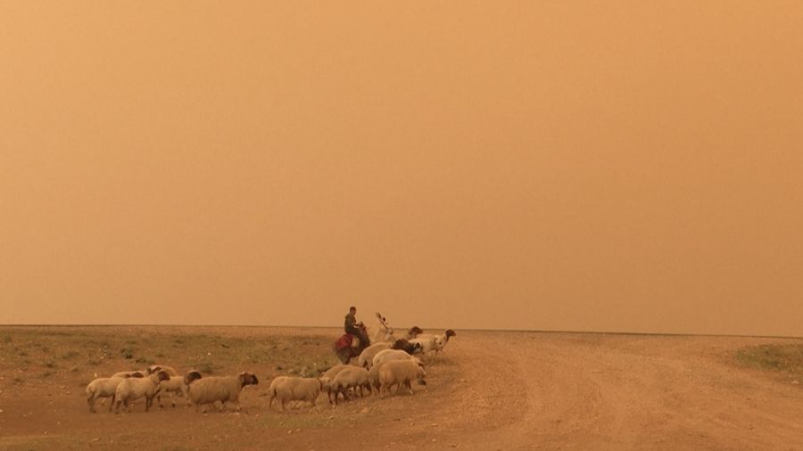 Para petani bekerja di ladang di pinggiran Qamishli di di tengah badai pasir yang mana melanda timur laut Suriah pada saat 1 Mei 2025. (Tangkapan Layar Video AFP/Gihad DARWISH)
