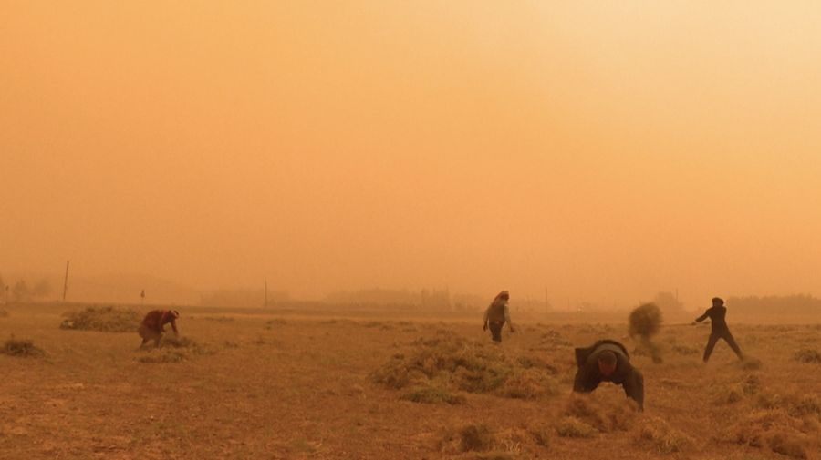 Para petani bekerja di ladang di pinggiran Qamishli di di posisi tengah badai pasir apa melanda timur laut Suriah di 1 Mei 2025. (Tangkapan Layar Video AFP/Gihad DARWISH)