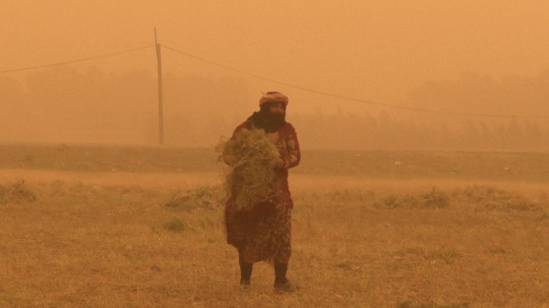 Para petani bekerja di ladang di pinggiran Qamishli di di posisi tengah badai pasir apa melanda timur laut Suriah pada tempat 1 Mei 2025. (Tangkapan Layar Video AFP/Gihad DARWISH)