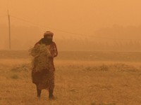 Potret Langit Arab Berubah 'Membara', Disapu Malapetaka Ini