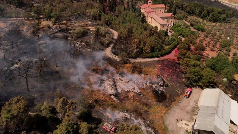 Seorang petugas pemadam kebakaran bekerja di dekat Latrun, sehari setelah kebakaran hutan terjadi akibat panas ekstrem dan angin, di Israel tengah, 1 Mei 2025. (REUTERS/Ammar Awad)
